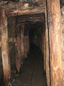 A typical tunnel shored with logs. 