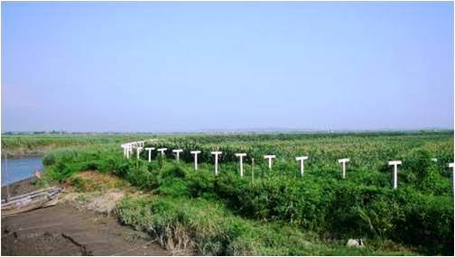 Figure 8. The landscape of Hwanggumpyong as seen from the Chinese side of the border. The DPRK fence is simple compared to the Chinese barrier in the previous picture.