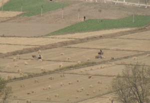 Brown fields and harsher weather can cause tourists to be more irritable or depressed. (Photo: Ruediger Frank)