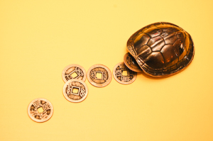 Turtle shell divination