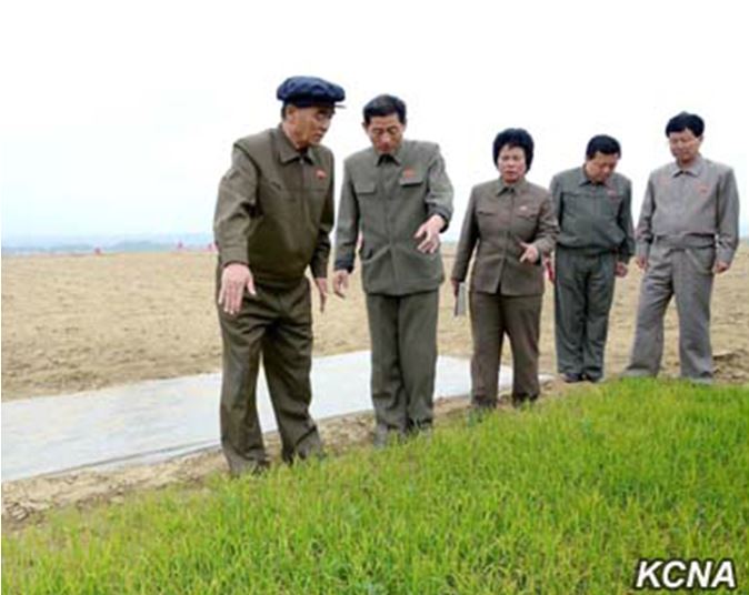 Why North Korea’s Supposed Agricultural Reforms May Not Actually Be Working After All