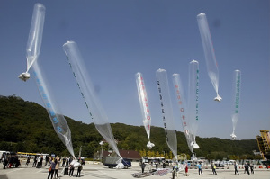 2014 Balloon Campaign (Yonhap)