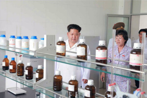 (Photo: Rodong Sinmun)