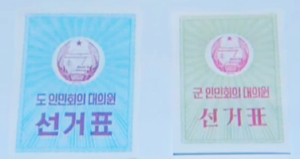 A ballot cast for a deputy candidate of a provincial people’s assembly (on the left); a ballot cast for a deputy candidate of a county people’s assembly (on the right). Photo: KCTV.