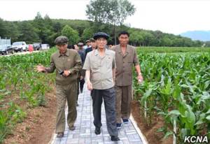 DPRK Premier Pak Pong Ju visits farm in North Hwanghae Province (KCNA)