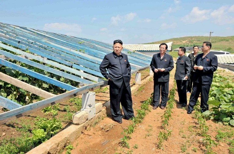 Kim Jong Un, greenhouse 2013